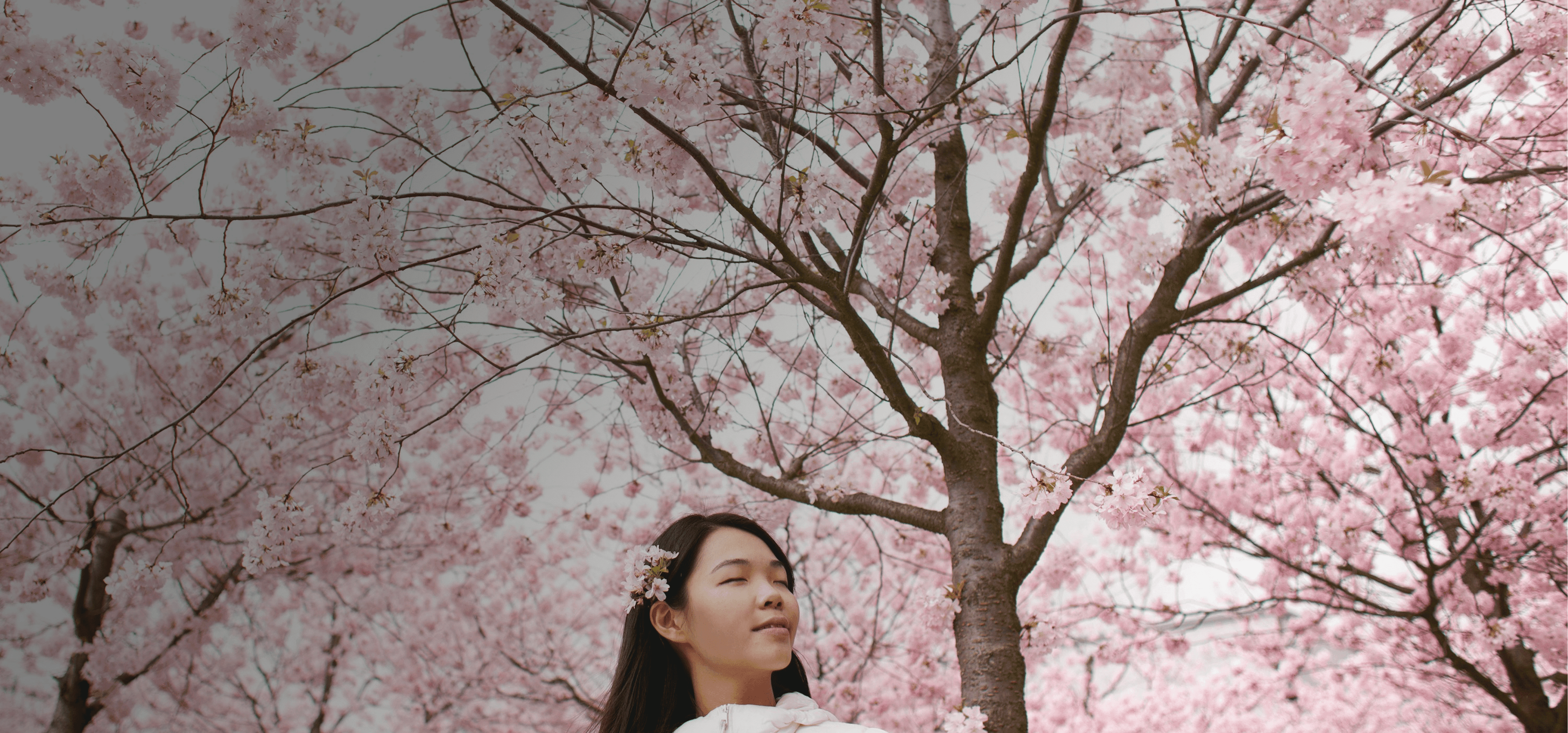 Une fille se tient sereinement devant des fleurs de cerisier qui bloquent tout le ciel. Le mot japonais "haru" est superposé à sa traduction français, "printemps".