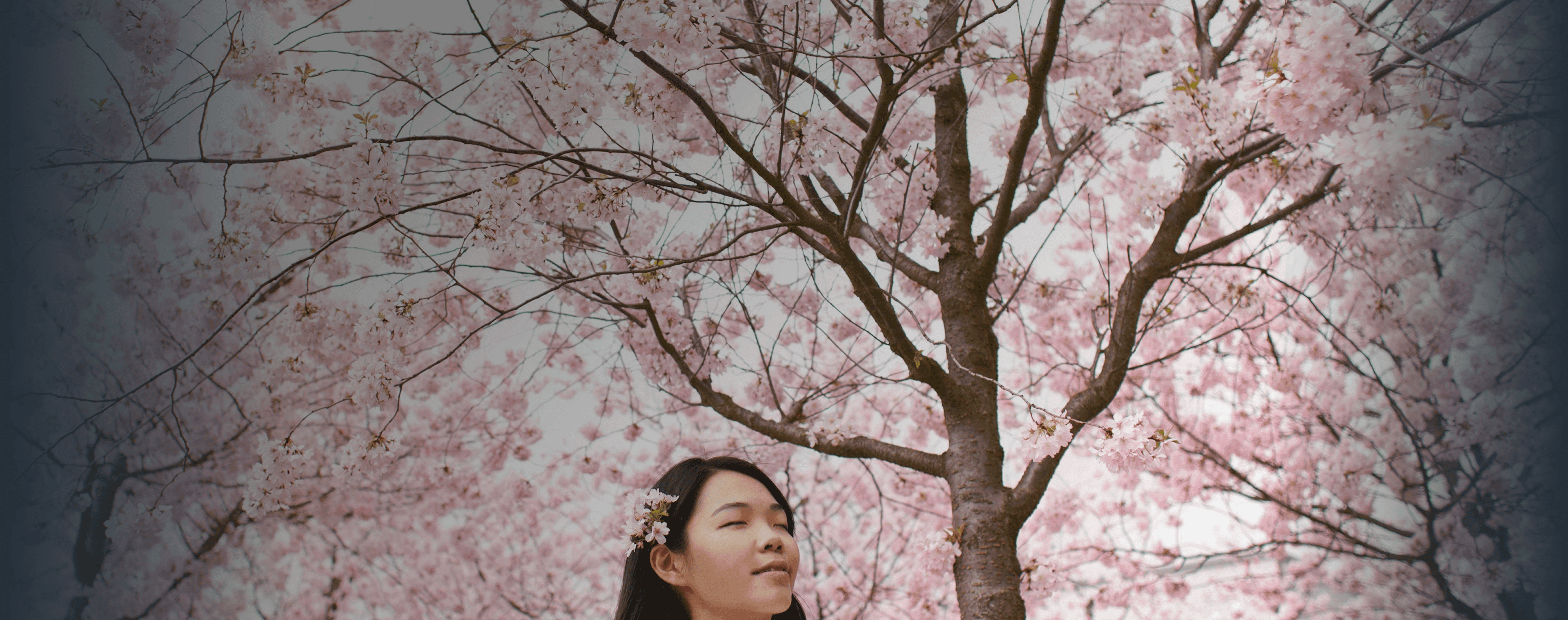 Une fille se tient sereinement devant des fleurs de cerisier qui bloquent tout le ciel. Le mot japonais "haru" est superposé à sa traduction français, "printemps".