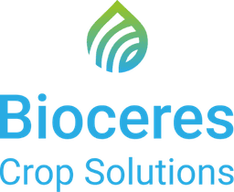 Logo BCS