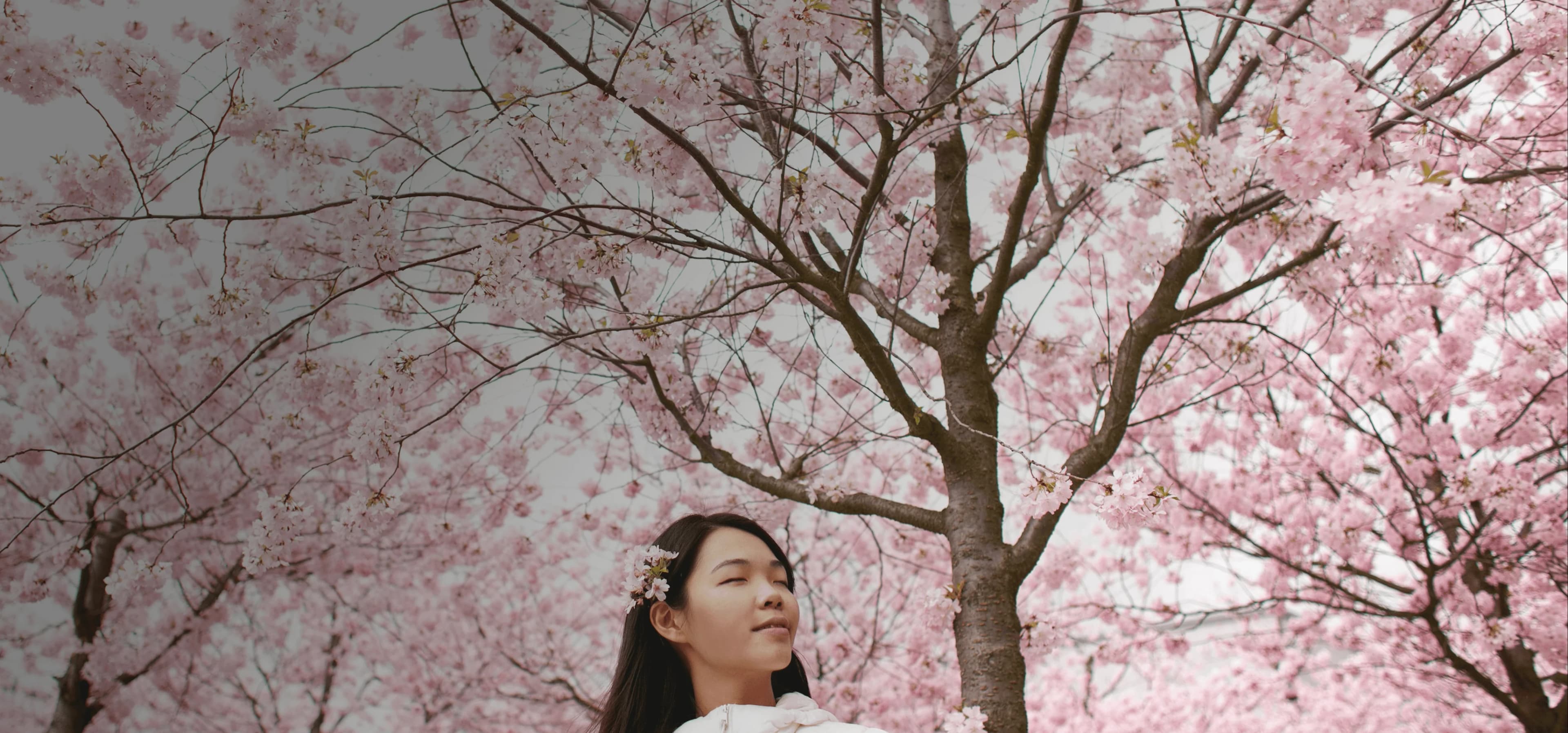 Une fille se tient sereinement devant des fleurs de cerisier qui bloquent tout le ciel. Le mot japonais "haru" est superposé à sa traduction français, "printemps".