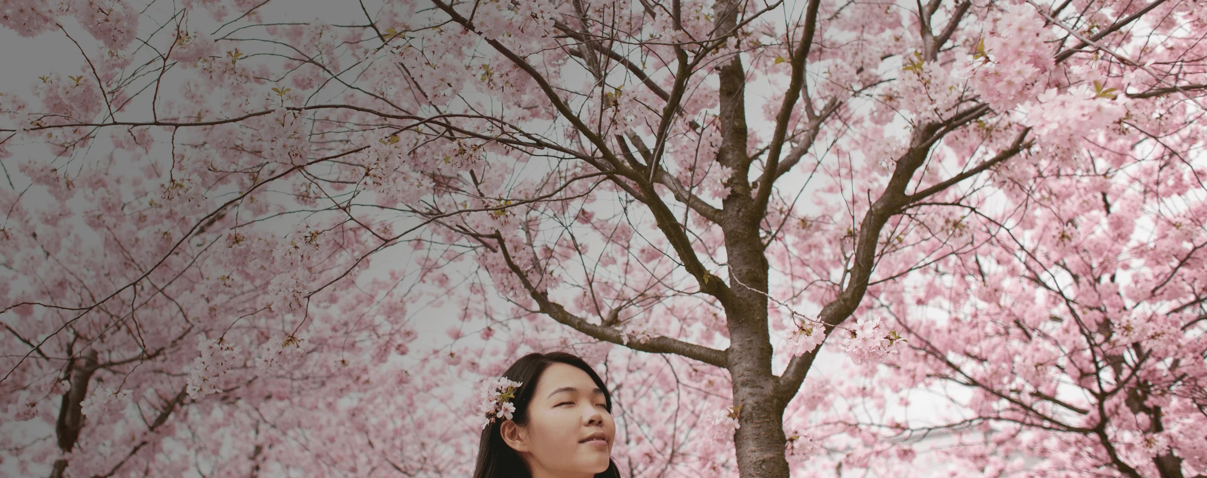 Une fille se tient sereinement devant des fleurs de cerisier qui bloquent tout le ciel. Le mot japonais "haru" est superposé à sa traduction français, "printemps".